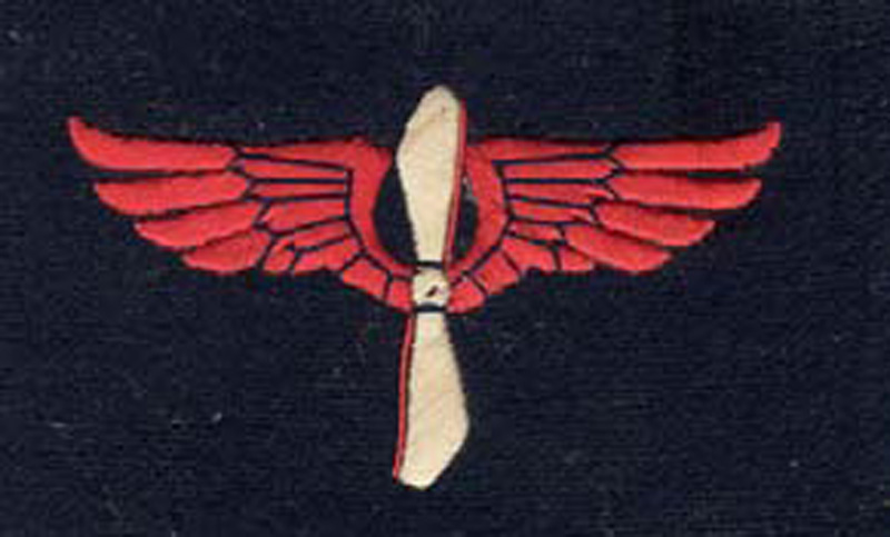 Insigne du personnel de l'aéronautique militaire.(Collection Fernande.B)
