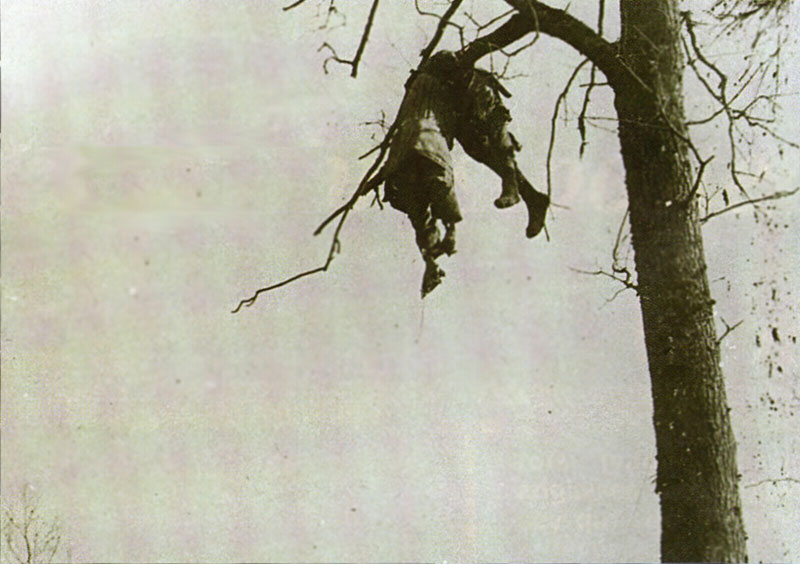 Cadavre projeté dans un arbre