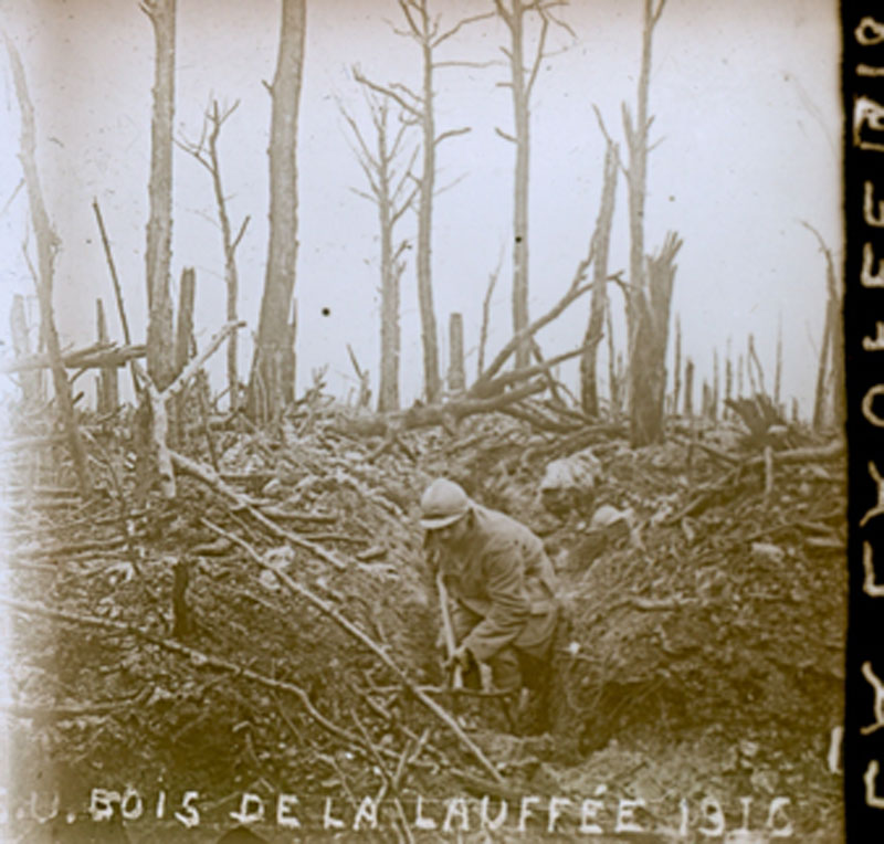 Bois de Lauffee 1916