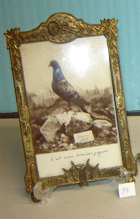 Fort de Vaux, cadre avec mon dernier pigeon (Collection privée: A-R)