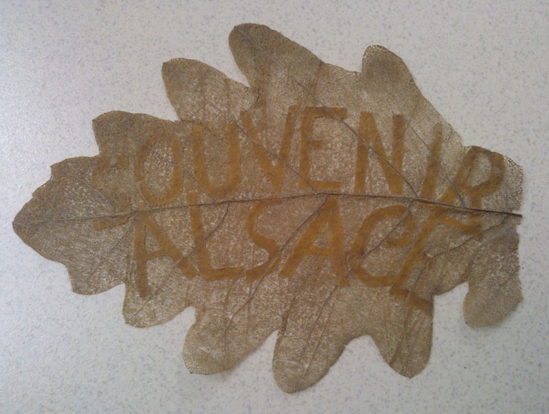 Feuille de chêne-souvenir d'Alsace (Collection Steven-H )